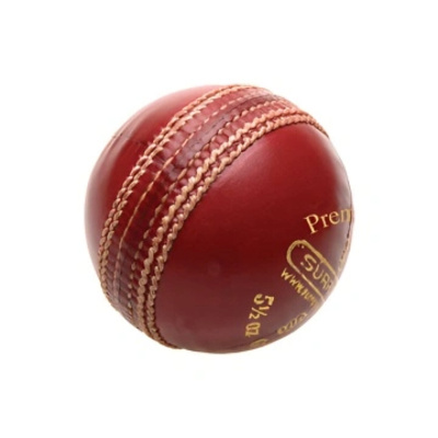 Premier Special Cricket Ball Thumbnail
