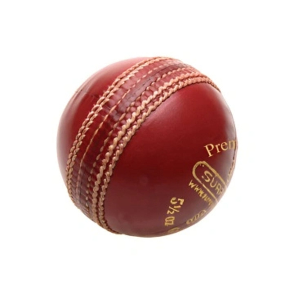 Premier Special Cricket Ball Thumbnail